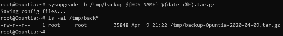 Screenshot of a manual backup on the CLI.
