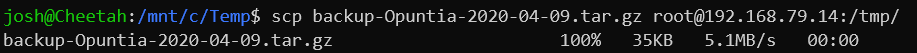 Screenshot showing an example of SCP'ing the configuration file to the system