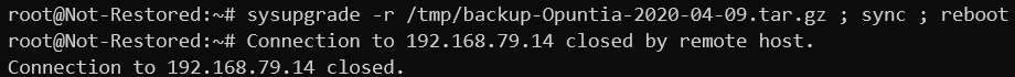 Screenshot showing a system restore and reboot from the CLI.