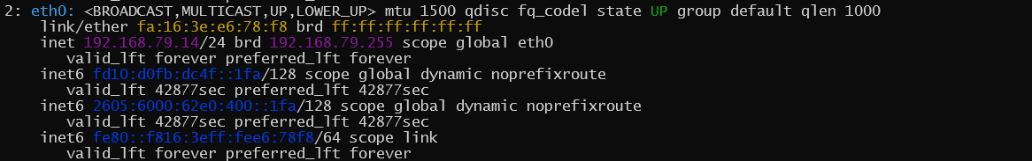 Screenshot showing how both the DHCP/DHCPv6 address is on a single Linux network Interface.